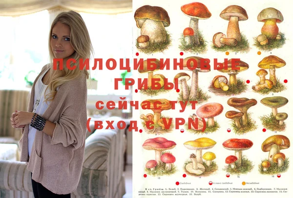 мескалин Лихославль