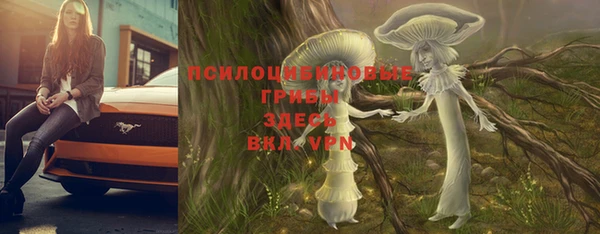 бутират Лиски