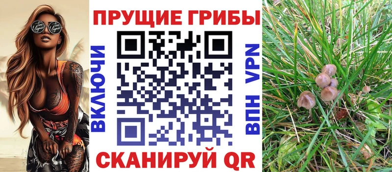 Галлюциногенные грибы мицелий  Купить где  Миньяр 