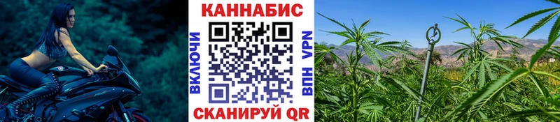 Марихуана план  Купить  Миньяр 